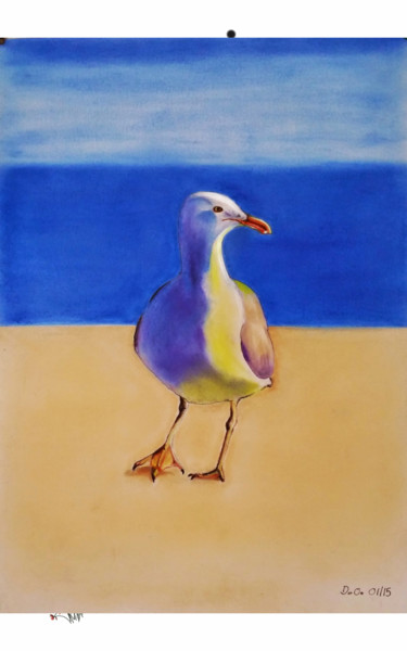 Desenho intitulada "Mouette sur la dune" por Dominique Obry, Obras de arte originais, Pastel