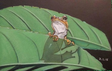 Drawing titled "Grenouille au pastel" by Dominique Obry, Original Artwork, Pastel