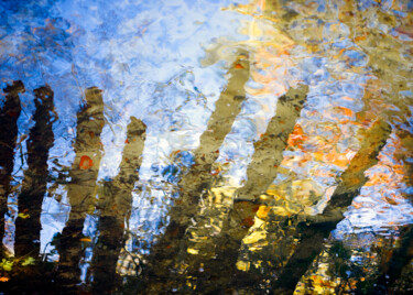 Photographie intitulée "reflets I" par Dominique Petrel, Œuvre d'art originale, Photographie numérique