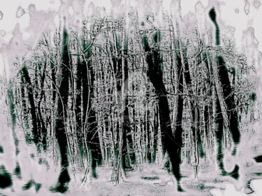 Photographie intitulée "Du froid dans les t…" par Dominique Sandor, Œuvre d'art originale