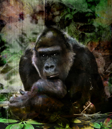 Arts numériques intitulée "Gorille paisible" par Dominique Taïbouni, Œuvre d'art originale, Photo montage