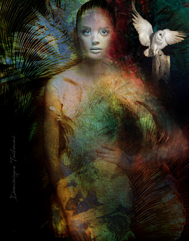 Arts numériques intitulée "La femme et son eff…" par Dominique Taïbouni, Œuvre d'art originale, Photo montage