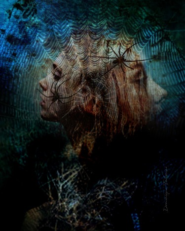 Digitale Kunst mit dem Titel "Toile d'araignée" von Dominique Taïbouni, Original-Kunstwerk, Fotomontage