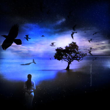 Digital Arts titled "nuit bleue" by Dominique Taïbouni, Original Artwork, Photo Montage