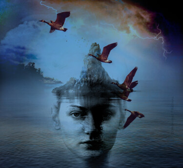 Digital Arts titled "Les oies" by Dominique Taïbouni, Original Artwork, Photo Montage