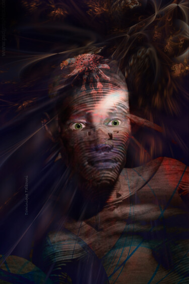 Arte digitale intitolato "Nabit" da Dominique Taïbouni, Opera d'arte originale, Fotomontaggio