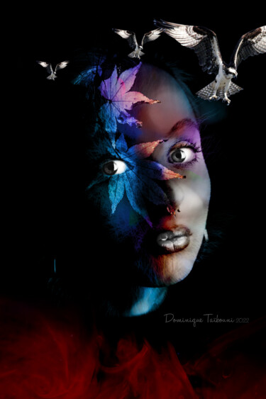 Digital Arts titled "vision nocturne" by Dominique Taïbouni, Original Artwork, Photo Montage