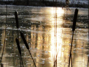 Photographie intitulée "soleil d'hiver" par Dominique Missler, Œuvre d'art originale, Photographie numérique