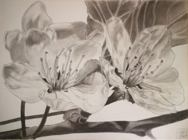 Dessin intitulée "Les deux fleurs cer…" par Mélanie Cavalec, Œuvre d'art originale, Crayon