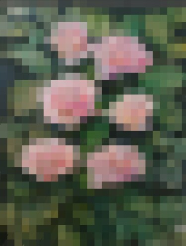 Digitale Kunst mit dem Titel "6 roses du jardin :…" von Mélanie Cavalec, Original-Kunstwerk, 2D digitale Arbeit