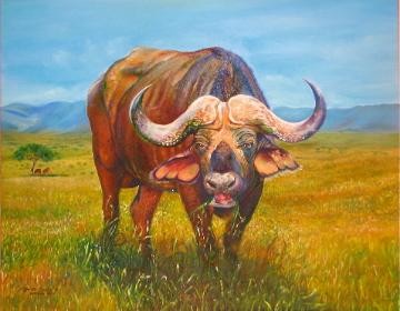 Painting titled "Buffalo" by Dorota Czapska D, Original Artwork, Oil