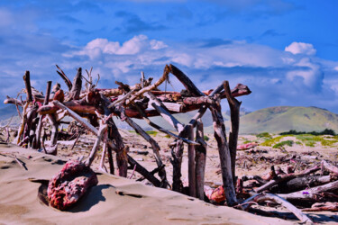 Фотография под названием "Morro-Bay" - Dorothy Gales'Eyes, Подлинное произведение искусства, Цифровая фотография