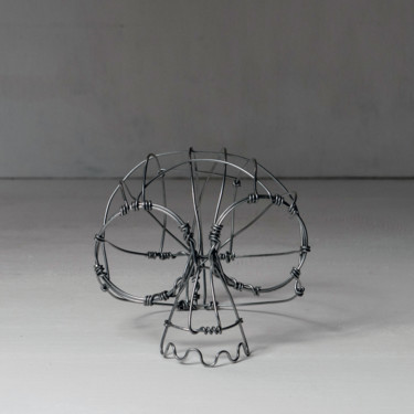Sculpture titled "Skull" by Ulugbek Doschanov, Original Artwork, Metals