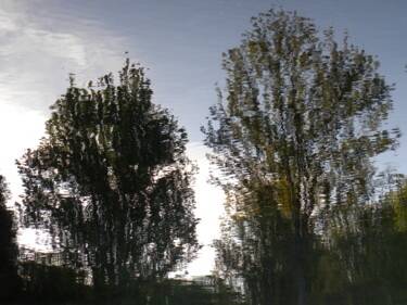Fotografie getiteld "Reflection Of Trees…" door Doug Dunigan, Origineel Kunstwerk, Digitale fotografie