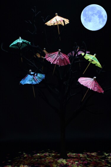 Photographie intitulée "once in a blue moon" par Douglas Okerlund, Œuvre d'art originale, Photographie numérique