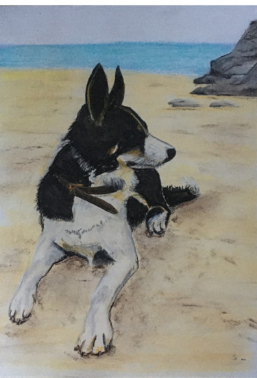 Drawing titled "Shep on the beach" by Simon Farnell, Original Artwork, Pastel