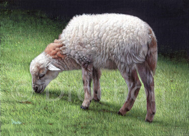 Painting titled "Agnus Dei" by Drochon, Original Artwork, Oil