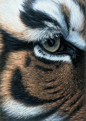 Painting titled "Oeil de tigre" by Drochon, Original Artwork