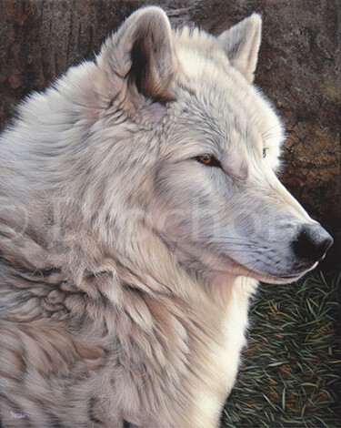 Malerei mit dem Titel "Amarok, Loup arctiq…" von Drochon, Original-Kunstwerk, Öl