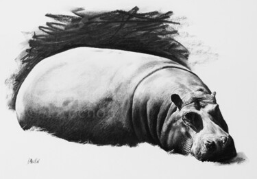Pittura intitolato "Etude d'hippopotame" da Drochon, Opera d'arte originale, Olio