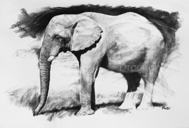 Dessin intitulée "Etude d'éléphant d'…" par Drochon, Œuvre d'art originale, Autre
