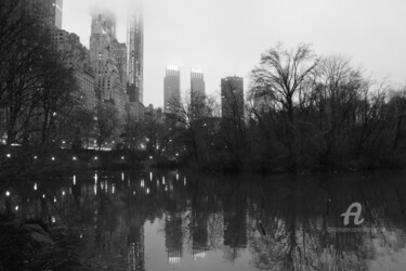 Photographie intitulée "Reflets et lumière…" par Duc Evelyna, Œuvre d'art originale, Photographie numérique