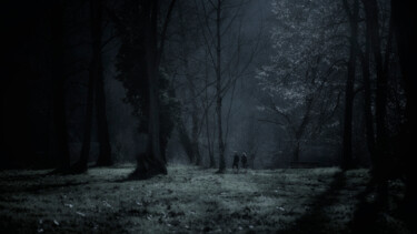 Фотография под названием "FORET MYSTERIEUSE" - Francoise Dufau, Подлинное произведение искусства, Цифровая фотография Устано…