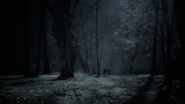 Fotografia intitolato "FORET MYSTERIEUSE" da Francoise Dufau, Opera d'arte originale, Fotografia digitale Montato su Cartone