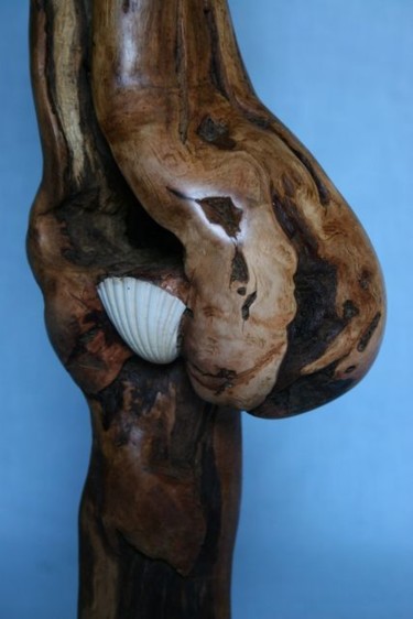 Sculpture titled "Vénus de Colombier" by Antony Duff, Original Artwork
