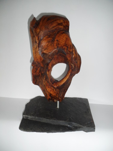 Sculpture titled "The Shell" by Duilio, Original Artwork, Wood