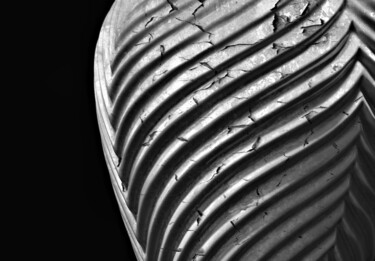 Photographie intitulée "Vase #1" par Duncan Bennett, Œuvre d'art originale, Photographie numérique
