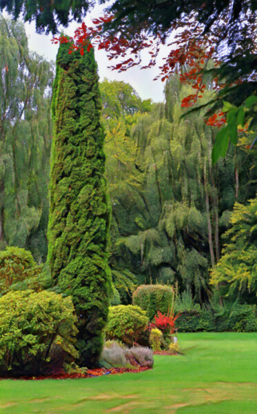 Grafika cyfrowa / sztuka generowana cyfrowo zatytułowany „The garden at Pine…” autorstwa Duncan Bennett, Oryginalna praca, F…