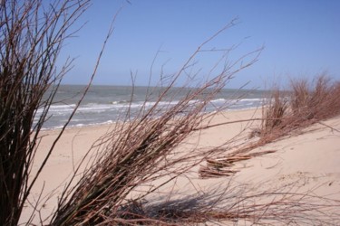 Photographie intitulée "Repos dans les dunes" par Brigitte Dupont, Œuvre d'art originale