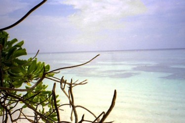 Photographie intitulée "plage des maldives" par Brigitte Dupont, Œuvre d'art originale