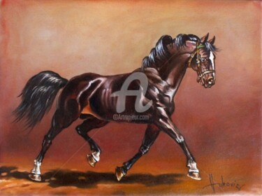 Schilderij getiteld "stallion" door Dusan Vukovic, Origineel Kunstwerk, Olie