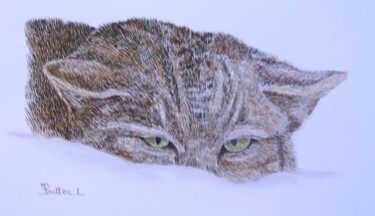 Peinture intitulée "Le chat sauvage" par Monique Dutter-Lemierre, Œuvre d'art originale
