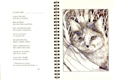 Drawing titled "Le chat tigre" by Monique Dutter-Lemierre, Original Artwork