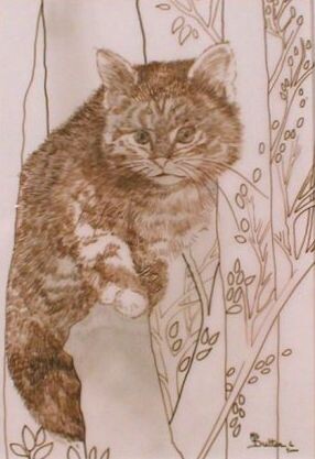 Peinture intitulée "Le chaton" par Monique Dutter-Lemierre, Œuvre d'art originale