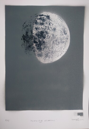 "Moon Phases - Origi…" başlıklı Baskıresim Dylan Bell (Bells Galleries) tarafından, Orijinal sanat, Sprey boya