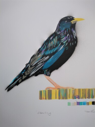 Malarstwo zatytułowany „'Starling' - Origin…” autorstwa Dylan Bell (Bells Galleries), Oryginalna praca, Farba w spray'u