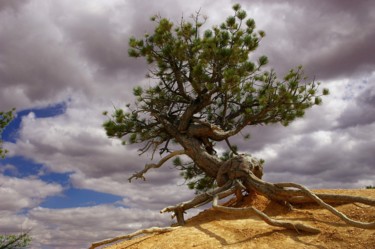 Fotografie getiteld "Bryce Canyon" door E4sound, Origineel Kunstwerk, Digitale fotografie