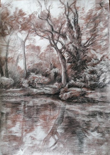 Картина под названием "Дерево у озера" - Елизавета Чеча, Подлинное произведение искусства, Карандаш
