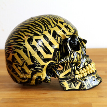 Rzeźba zatytułowany „Skull Art X Eazy One” autorstwa Eazy One, Oryginalna praca, Farba w spray'u