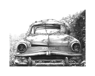 Drawing titled "Aronde dans les ron…" by Eric Berthet, Original Artwork, Ink