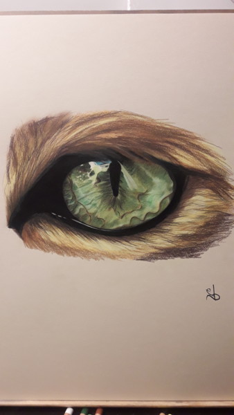 Dessin intitulée "Oeil de chat" par Eberry, Œuvre d'art originale, Crayon