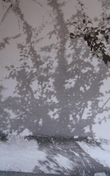 Photography titled "shadows" by Ebru Duvenci, Original Artwork