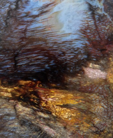 Nature artwork petrified wood Collages titled "Nature artwork petr…" by Eddi Lubis, Original Art, Non Manipulated Photography