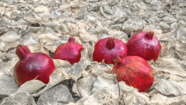 Photographie intitulée "Armenian pomegranat…" par Edgar Nazaryan, Œuvre d'art originale, Photographie numérique