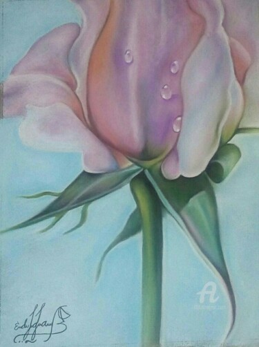Dessin intitulée "Rosa de primavera" par Edgar Pacheco, Œuvre d'art originale, Pastel