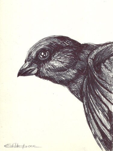 Drawing titled "Moineau" by Edith Bos Boyer (EDITH DONC), Original Artwork, Ballpoint pen